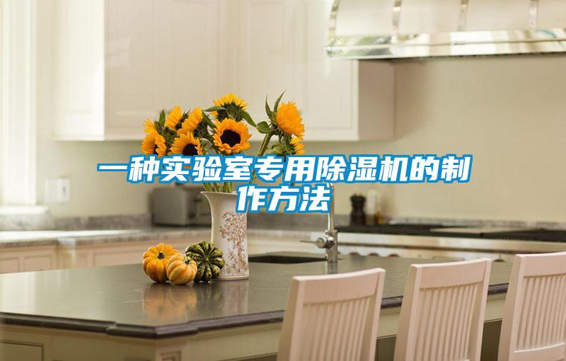 一種實驗室專用除濕機的制作方法