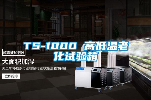 TS-1000 高低溫老化試驗(yàn)箱