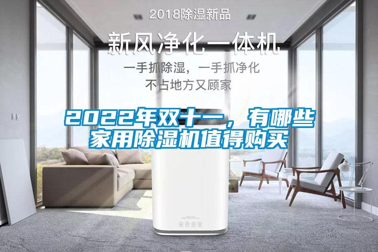 2022年雙十一,有哪些家用除濕機(jī)值得購(gòu)買(mǎi)