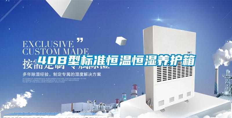 40B型標準恒溫恒濕養(yǎng)護箱