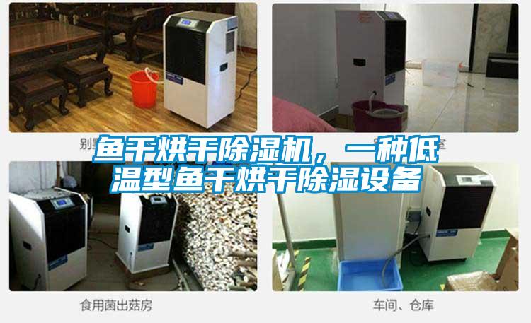 魚干烘干除濕機，一種低溫型魚干烘干除濕設(shè)備