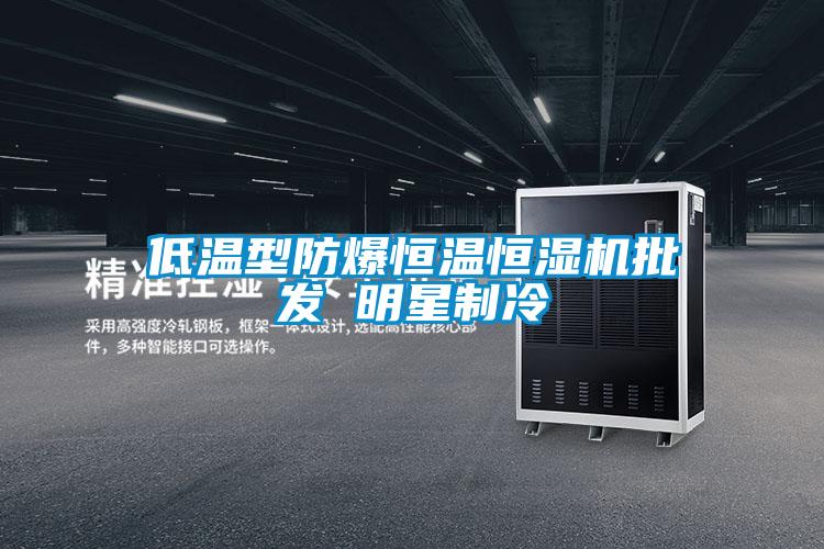 低溫型防爆恒溫恒濕機批發 明星制冷