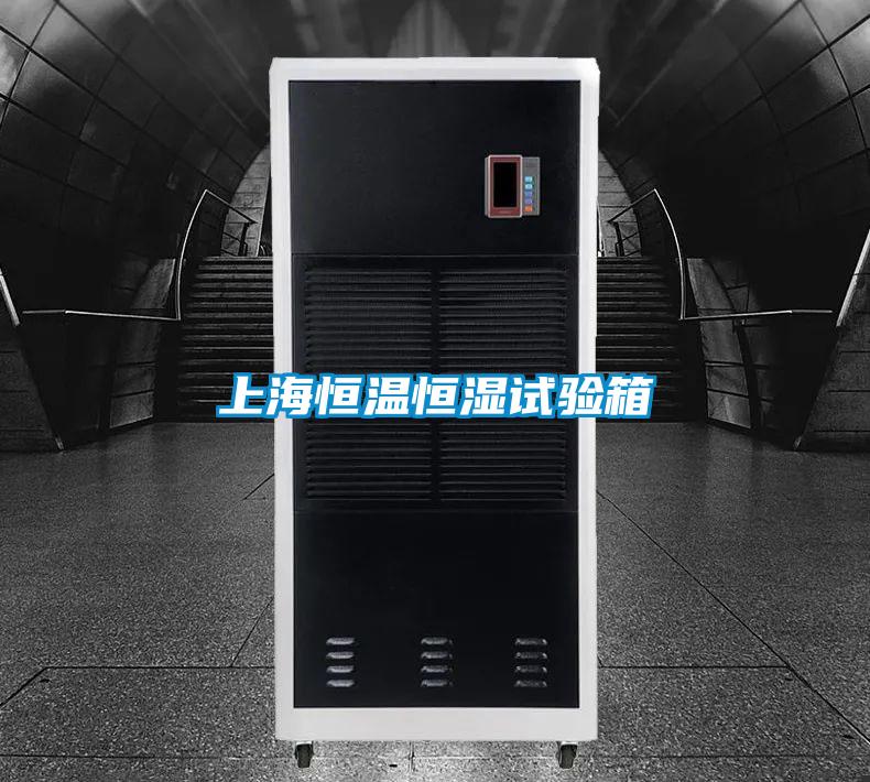 上海恒溫恒濕試驗(yàn)箱
