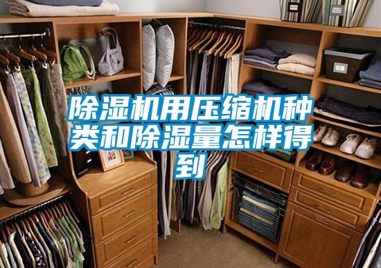 除濕機(jī)用壓縮機(jī)種類和除濕量怎樣得到