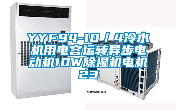 YYF94-10/4冷水機用電容運轉(zhuǎn)異步電動機10W除濕機電機23