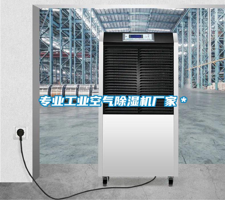專(zhuān)業(yè)工業(yè)空氣除濕機(jī)廠家*