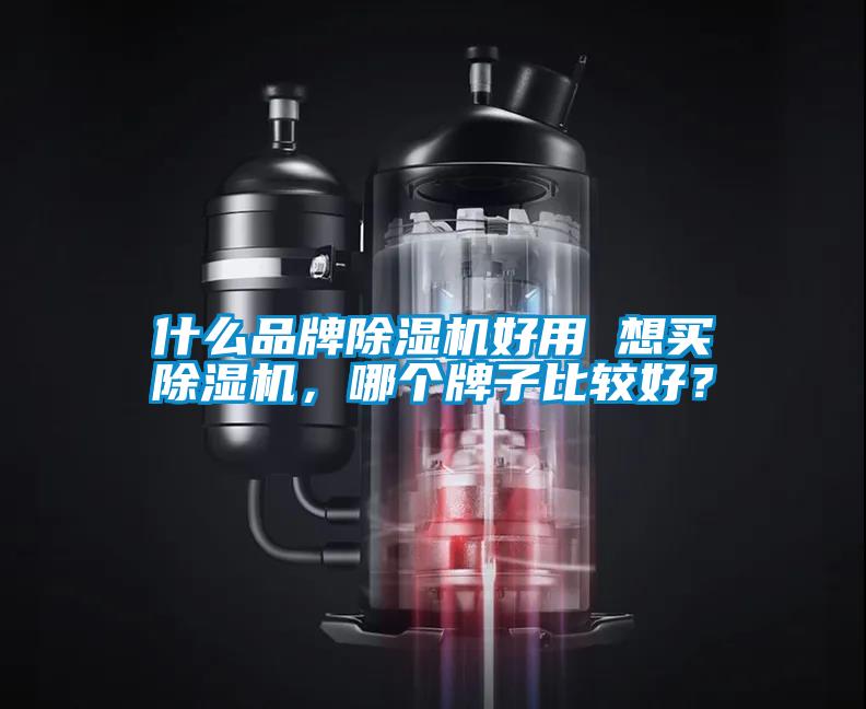 什么品牌除濕機好用 想買除濕機，哪個牌子比較好？