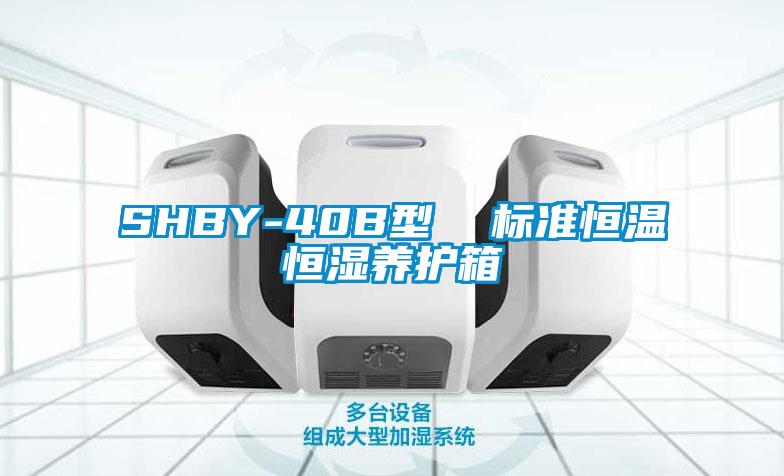 SHBY-40B型  標準恒溫恒濕養(yǎng)護箱