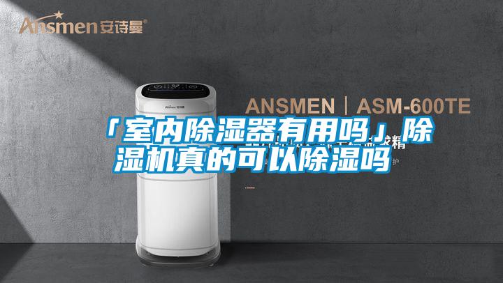 「室內(nèi)除濕器有用嗎」除濕機(jī)真的可以除濕嗎