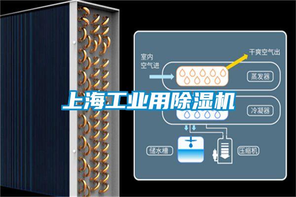 上海工業用除濕機
