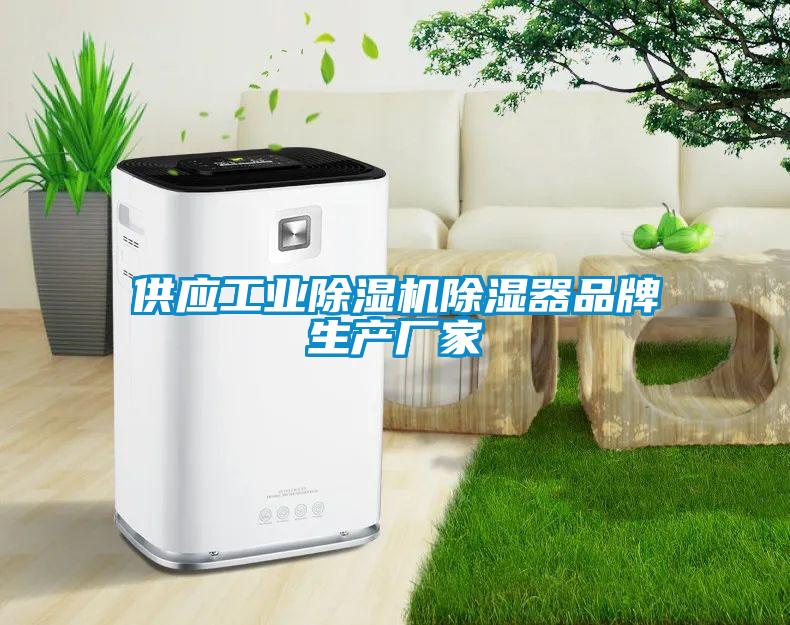 供應工業除濕機除濕器品牌生產廠家