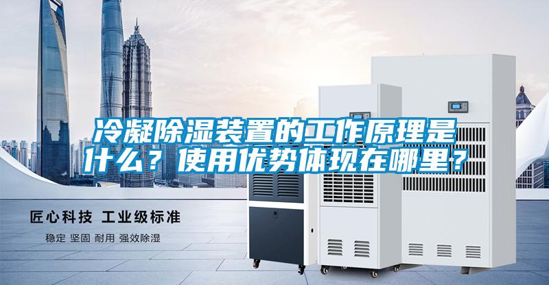 冷凝除濕裝置的工作原理是什么？使用優(yōu)勢(shì)體現(xiàn)在哪里？