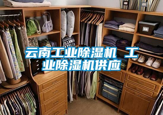 云南工業(yè)除濕機 工業(yè)除濕機供應(yīng)
