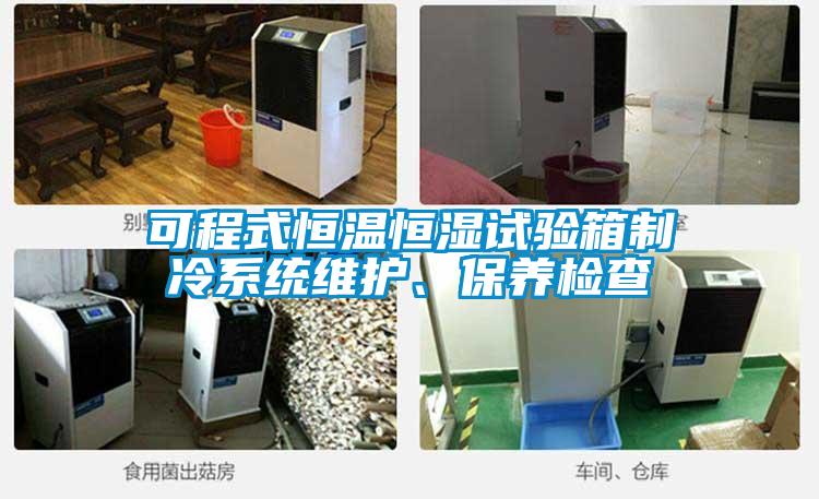 可程式恒溫恒濕試驗(yàn)箱制冷系統(tǒng)維護(hù)、保養(yǎng)檢查