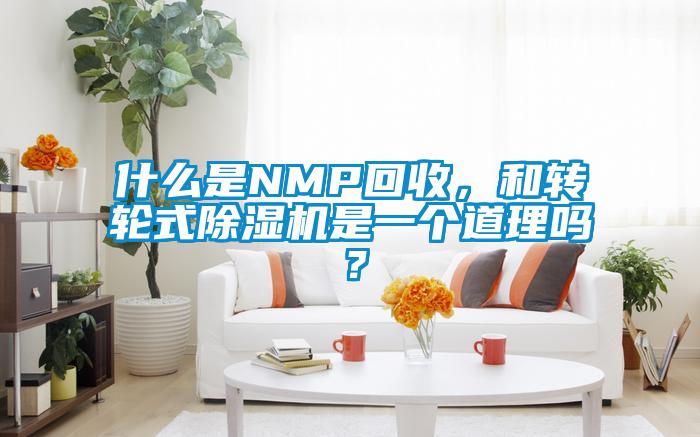 什么是NMP回收,和轉(zhuǎn)輪式除濕機(jī)是一個(gè)道理嗎?