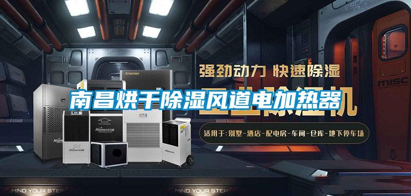 南昌烘干除濕風道電加熱器