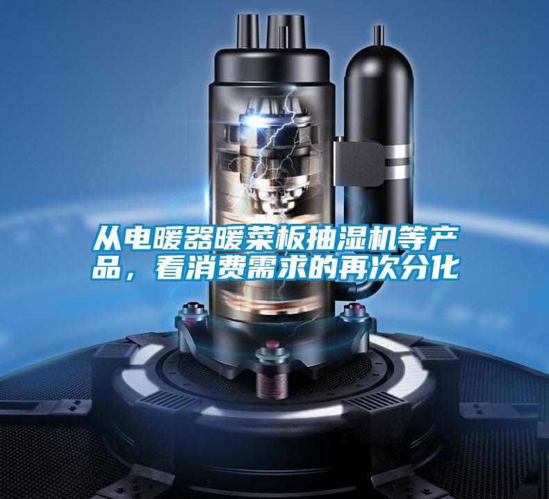 從電暖器暖菜板抽濕機(jī)等產(chǎn)品，看消費(fèi)需求的再次分化