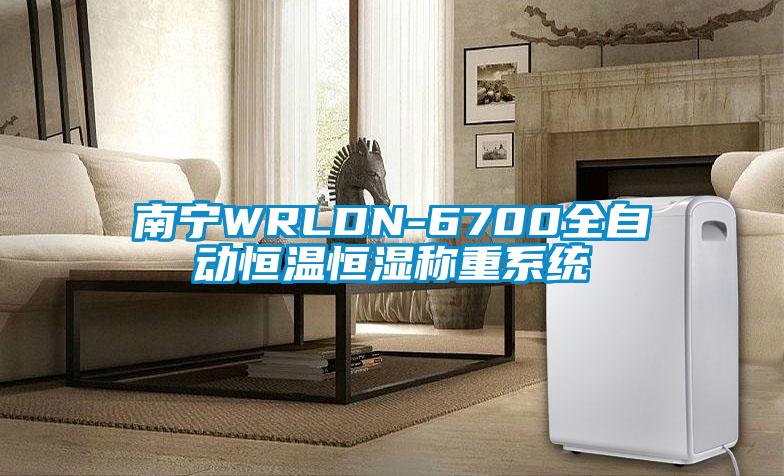 南寧WRLDN-6700全自動恒溫恒濕稱重系統