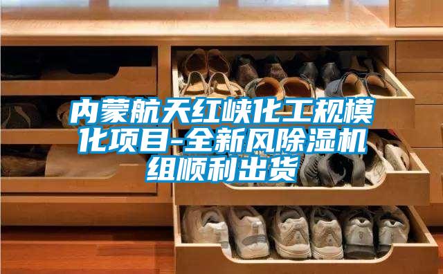 內蒙航天紅峽化工規模化項目-全新風除濕機組順利出貨