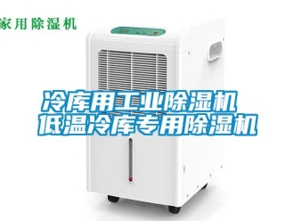 常見問題冷庫用工業(yè)除濕機 低溫冷庫專用除濕機