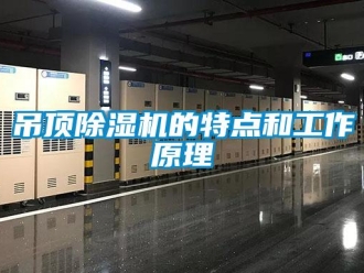 行業新聞吊頂除濕機的特點和工作原理