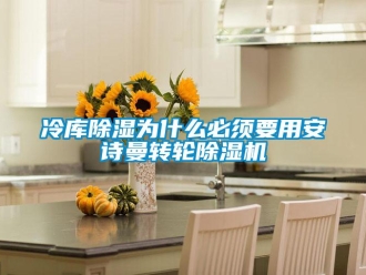 常見問題冷庫除濕為什么必須要用安詩曼轉輪除濕機